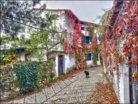 Casita Collado 3 Dom wakacyjny Alájar